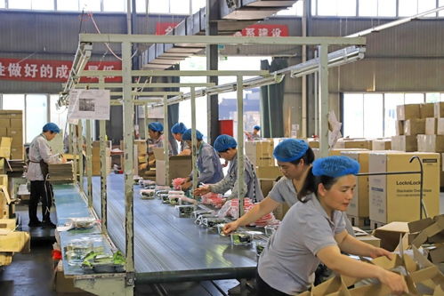 近九成專精特新企業(yè)制定國際化計劃