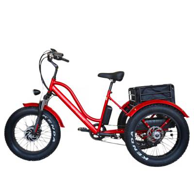 廣東深圳雪地三輪電動車 20寸出口變速助力車廠家直銷價格解析