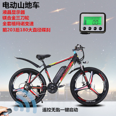 電動(dòng)自行車市場(chǎng) 銷售現(xiàn)狀與未來(lái)趨勢(shì)